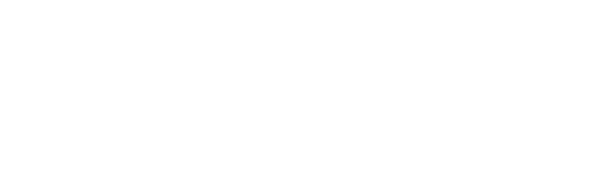 Fiotec